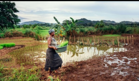 UGANDA EKUULA LYA’ FRIKA